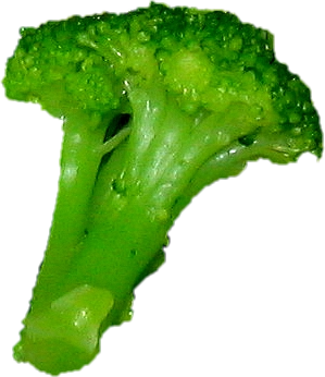 da kommt irgendwann mal ein begruessungsbildschirm her, nix aufwendiges, ein paar erlaeuterungen und, wenn ich eines finde, ein bild von einem broccoli ;-)